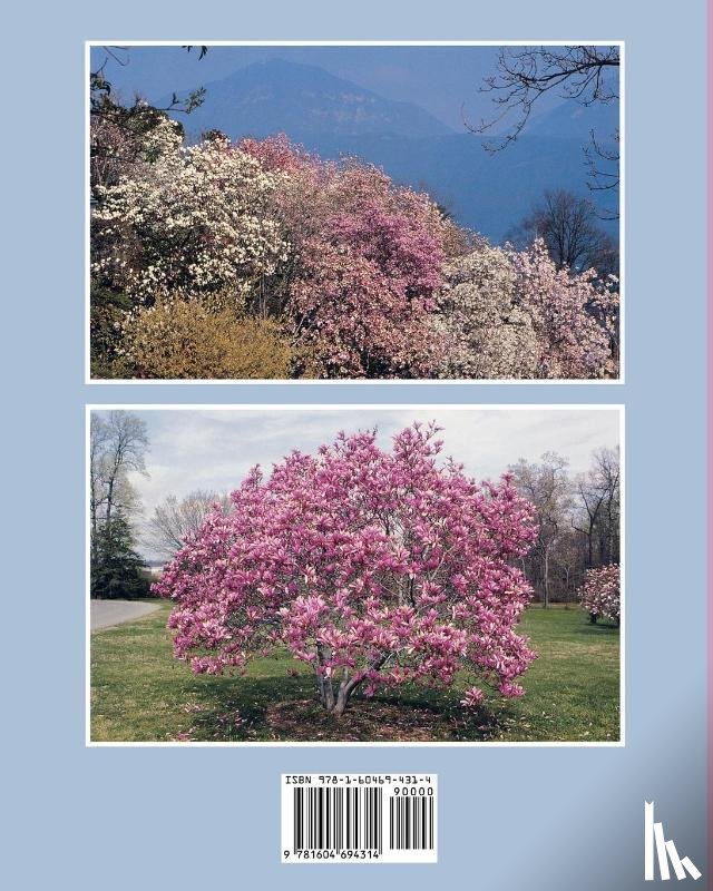 Gardiner, Jim - Magnolias