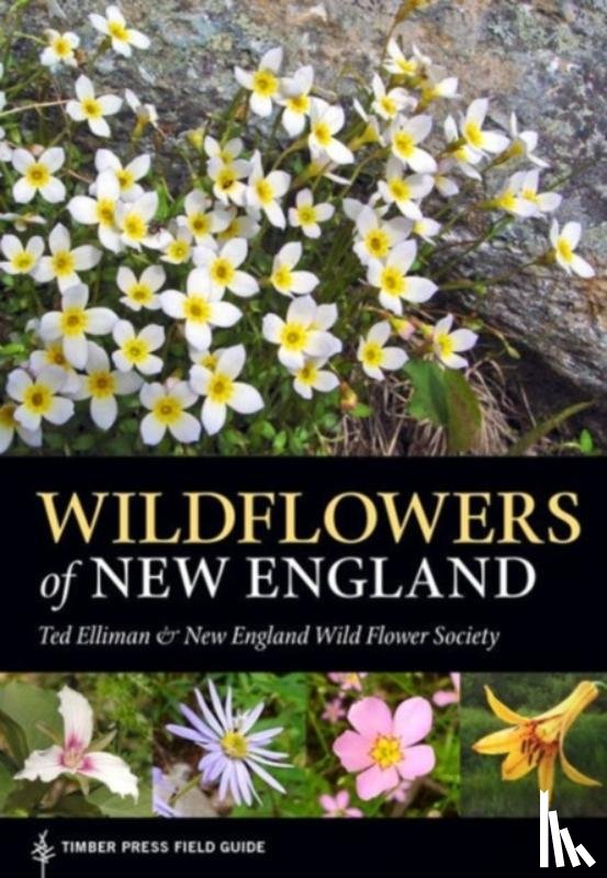 Elliman, Ted, Native Plant Trust - Wildflowers of New England
