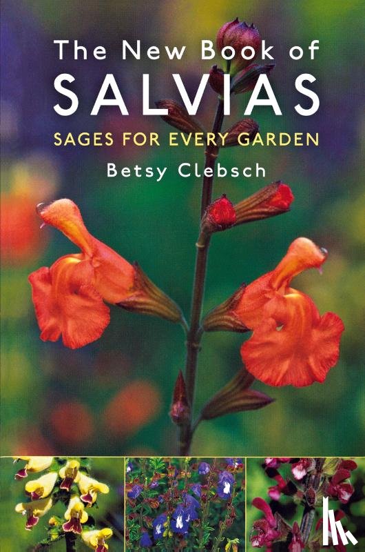 Clebsch, Betsy - The New Book of Salvias