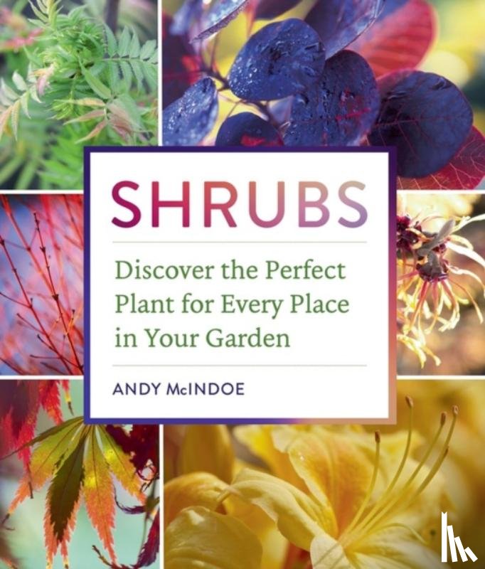 McIndoe, Andy - Shrubs