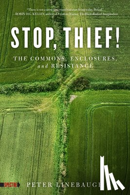 Linebaugh, Peter - Stop, Thief!