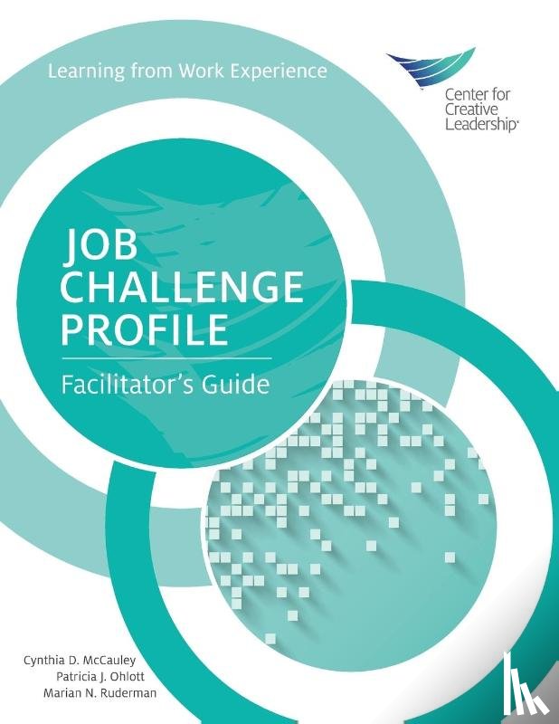 McCauley, Cynthia D, Ohlott, Patricia J, Ruderman, Marian N - Job Challenge Profile