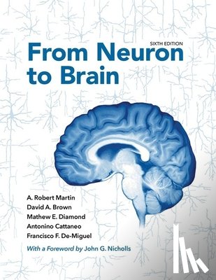 Martin, A. Robert, Brown, David A., Diamond, Mathew E., Cattaneo, Antonino - From Neuron to Brain