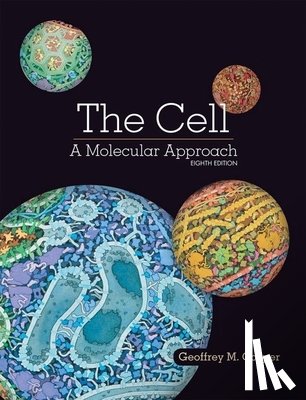 Cooper, Geoffrey - The Cell: A Molecular Approach