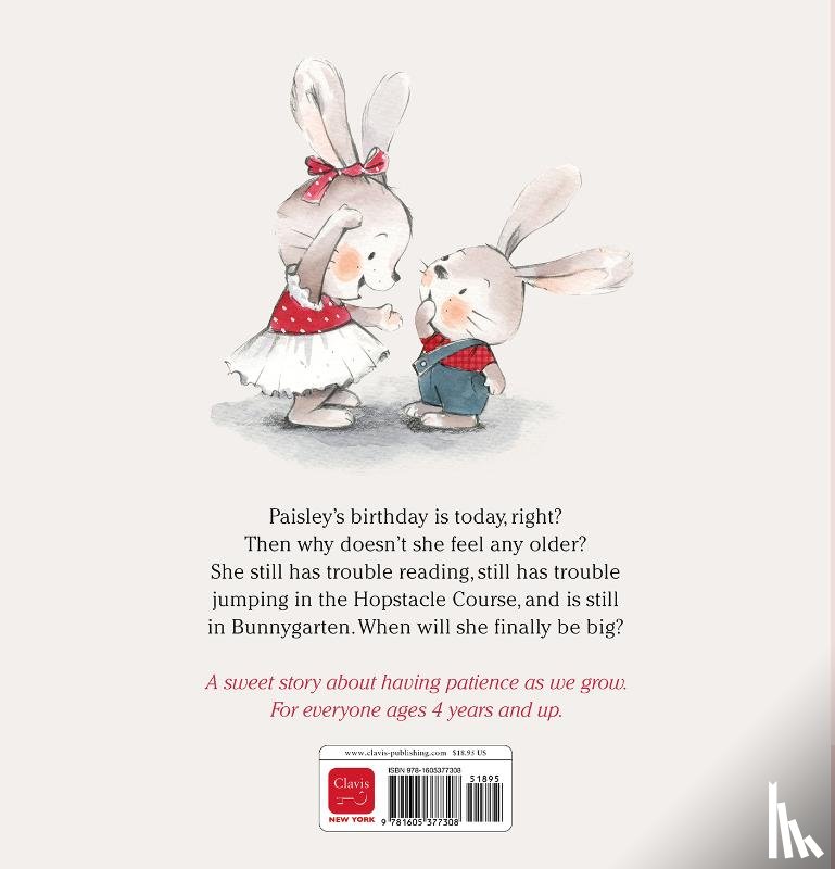 Stigall, Heather Pierce - Paisley's Big Birthday