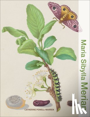 Powell-Warren, Catherine - Maria Sibylla Merian