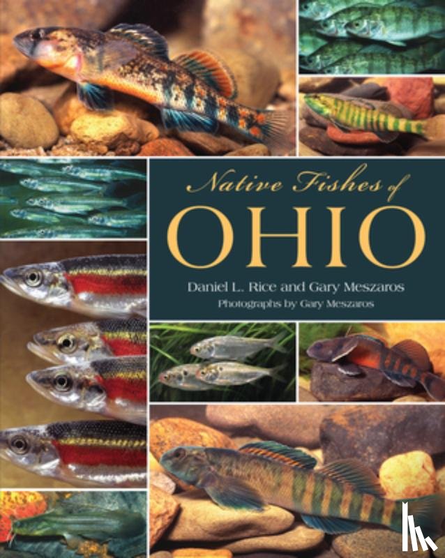 Rice, Daniel L. - Native Fishes of Ohio
