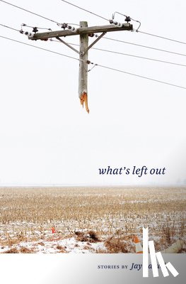 Baruch, Jay - What's Left Out