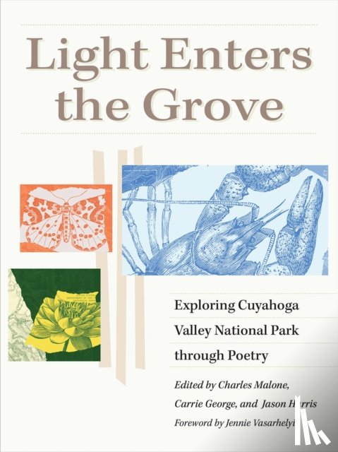  - Light Enters the Grove