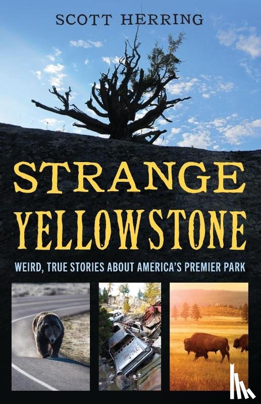 Herring, Scott - Strange Yellowstone