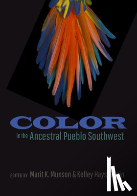  - Color in the Ancestral Pueblo Southwest