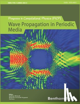 Ehrhardt, Matthias - Progress in Computational Physics (PiCP): Coupled Fluid Flow in Energy, Biology and Environmental Research