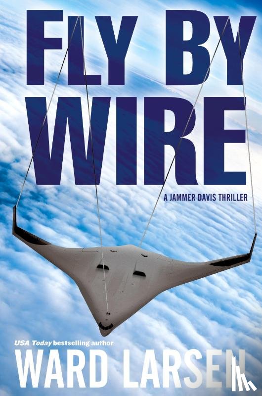 Larsen, Ward - Fly By Wire