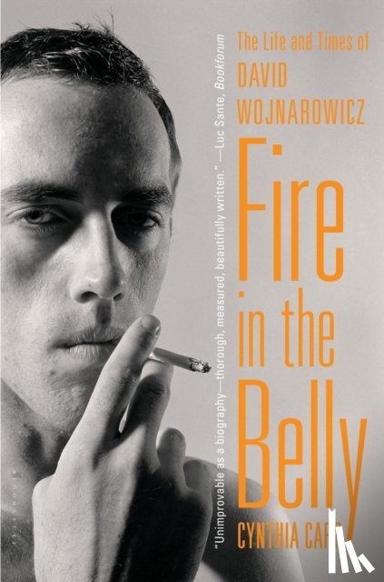 Carr, Cynthia - Fire in the Belly