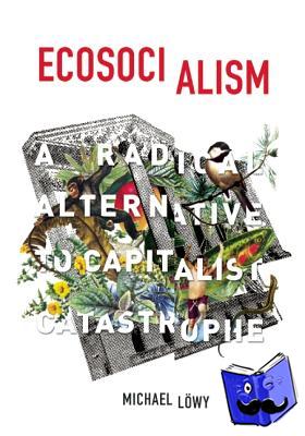 Lowy, Michael - Ecosocialism