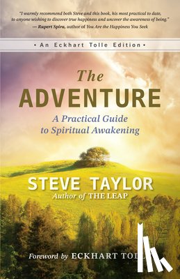 Taylor, Steve - The Adventure