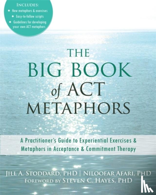 Stoddard, Jill A., Afari, Niloofar - The Big Book of ACT Metaphors