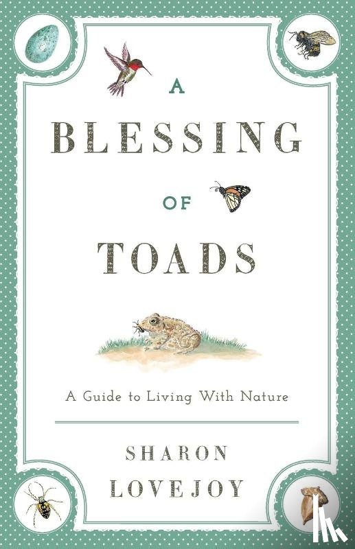 Lovejoy, Sharon - A Blessing of Toads