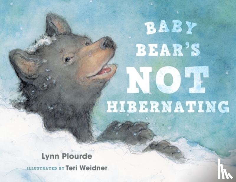 Plourde, Lynn - Baby Bear's Not Hibernating