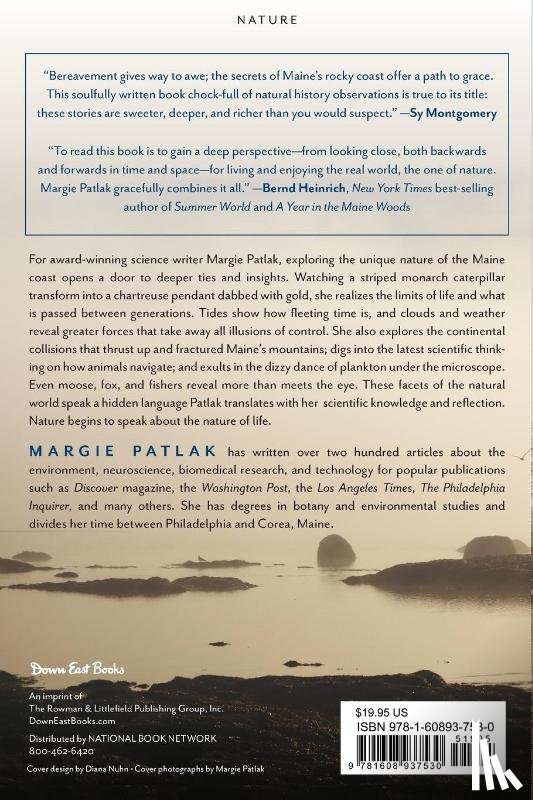 Patlak, Margie - More Than Meets the Eye