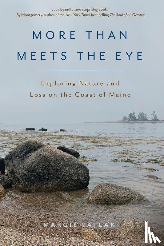 Patlak, Margie - More Than Meets the Eye