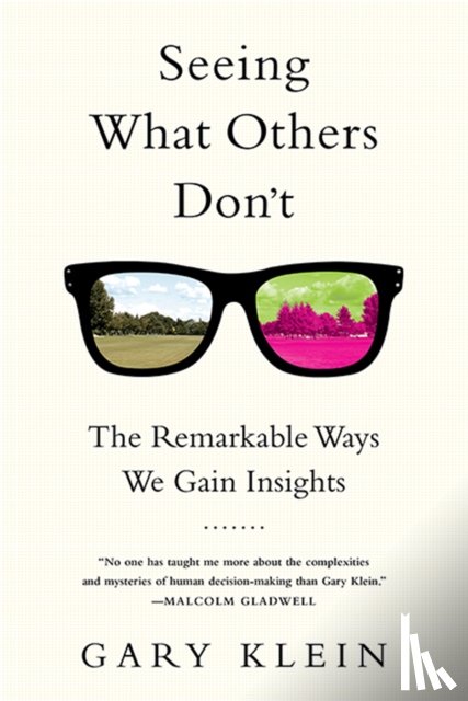 Klein, Gary - Seeing What Others Don't