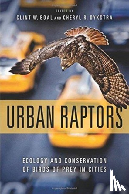 Boal, Clint - Urban Raptors