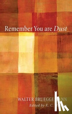 Brueggemann, Walter - Remember You Are Dust
