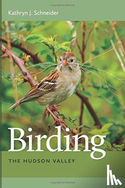 Schneider, Kathryn J. - Birding the Hudson Valley