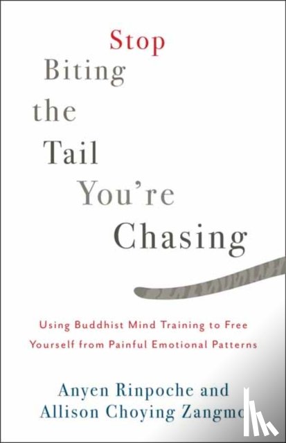 Rinpoche, Anyen, Zangmo, Allison Choying - Stop Biting the Tail You're Chasing