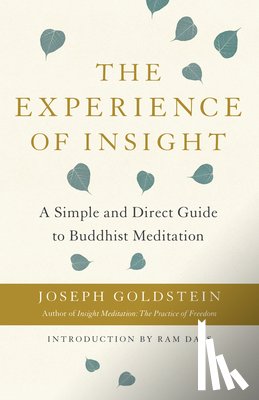 Goldstein, Joseph - The Experience of Insight