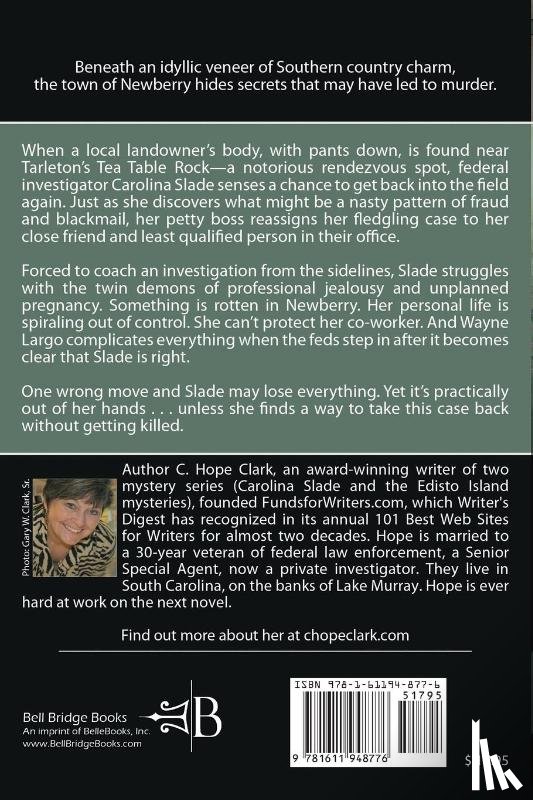 Clark, C Hope - Newberry Sin