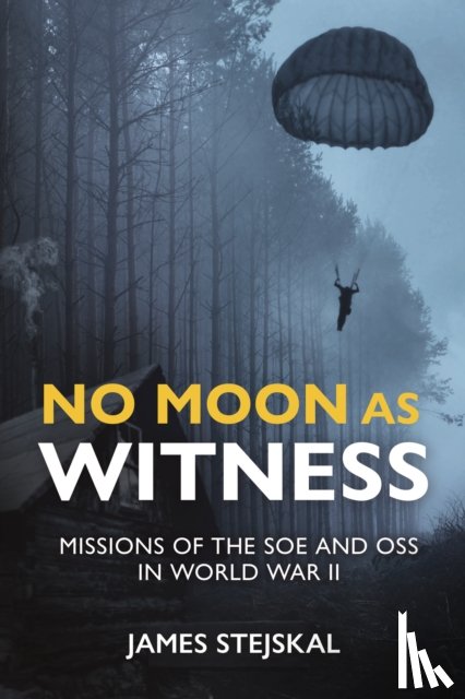 Stejskal, James - No Moon as Witness