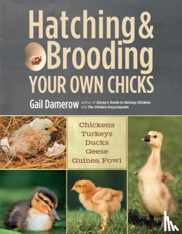 Damerow, Gail - Hatching & Brooding Your Own Chicks