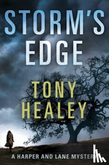 Healey, Tony - Storm's Edge