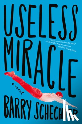 Schechter, Barry - Useless Miracle