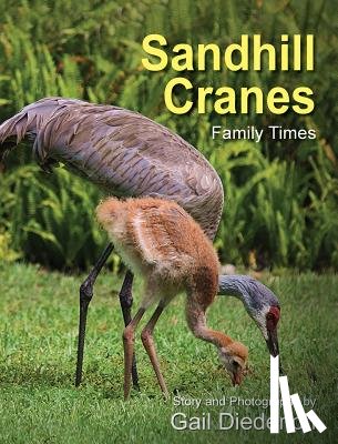 Diederich, Gail - Sandhill Cranes, Family Times