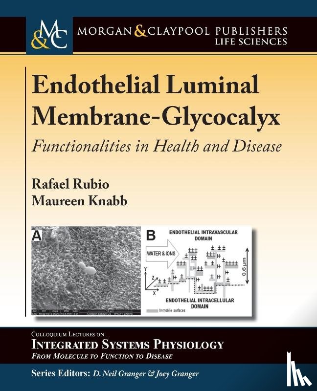 Rafael Rubio, Maureen Knabb, Joey P. Granger - Endothelial Luminal Membrane-Glycocalyx