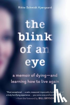 Kjaergaard, Rikke Schmidt - The Blink of an Eye