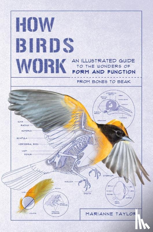 Taylor, Marianne - Taylor, M: How Birds Work