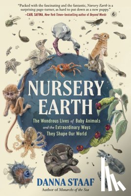 Staaf, Danna - Nursery Earth