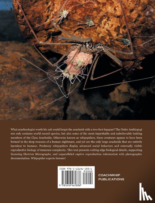 McMonigle, Orin - Breeding the World's Largest Living Arachnid