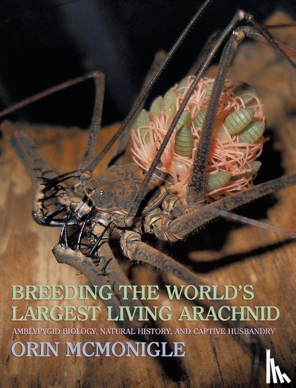McMonigle, Orin - Breeding the World's Largest Living Arachnid