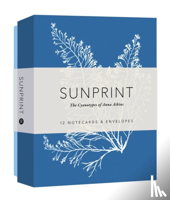 Princeton Architectural Press - Sunprint Notecards
