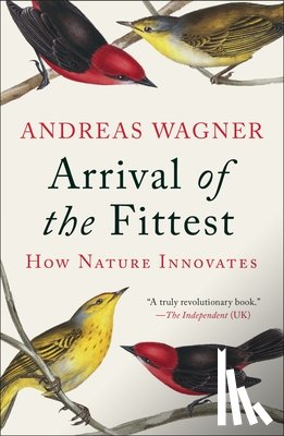 Wagner, Andreas - Arrival of the Fittest