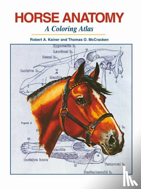 Kainer, Robert A., Mccracken, Thomas O. - HORSE ANATOMY