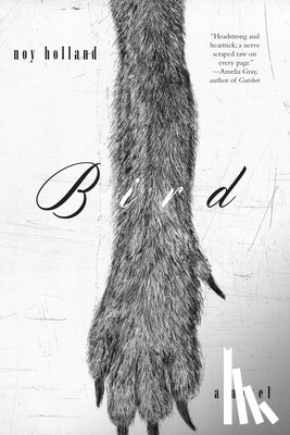 Holland, Noy - Bird