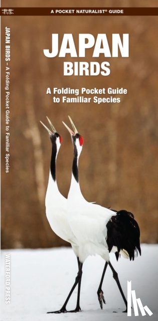 Kavanagh, James, Press, Waterford - Japan Birds