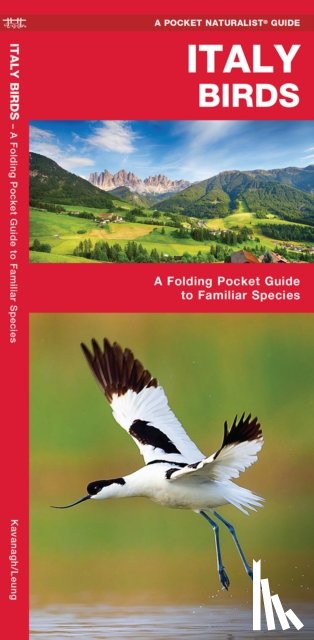 Kavanagh, James, Waterford Press, Waterford Press - Italy Birds
