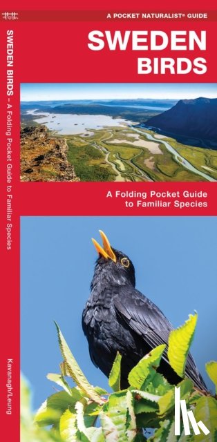 Kavanagh, James, Waterford Press, Waterford Press - Sweden Birds